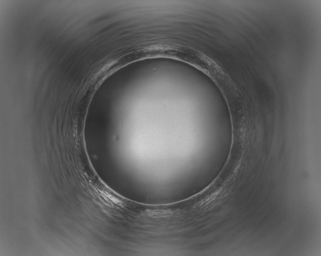 X0000051250825200507011650