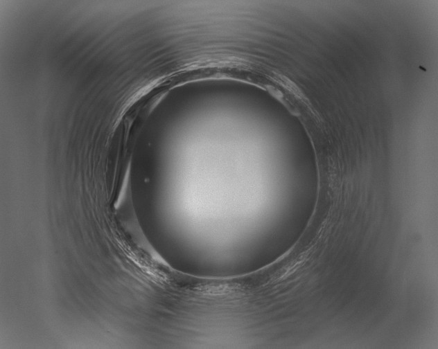 X0000051250826200507011650