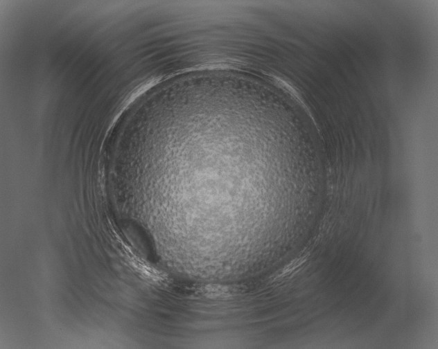 X0000051250827200507011650