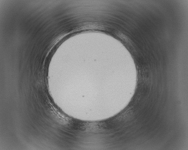 X0000051250828200507011650