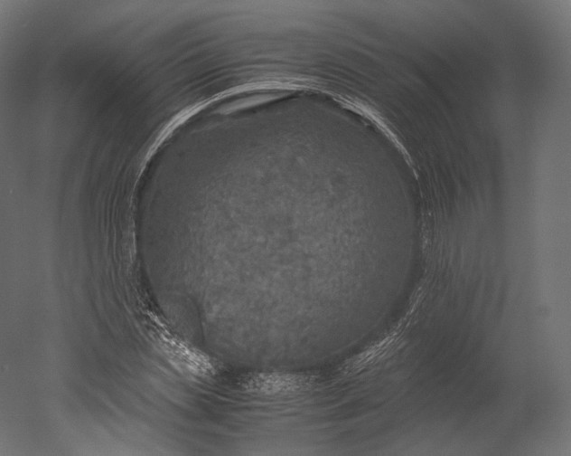 X0000051250829200507011650