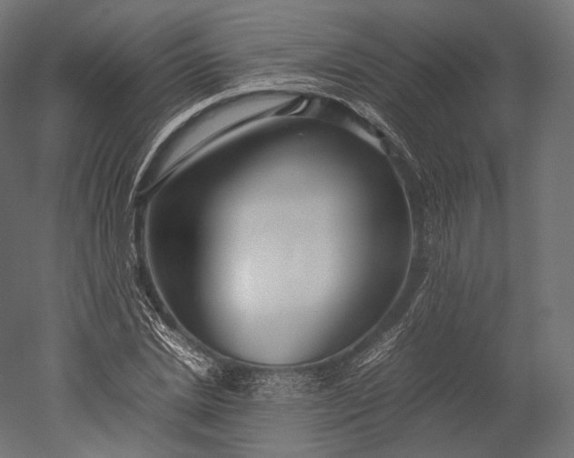 X0000051250830200507011650