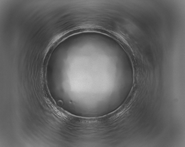 X0000051250831200507011650