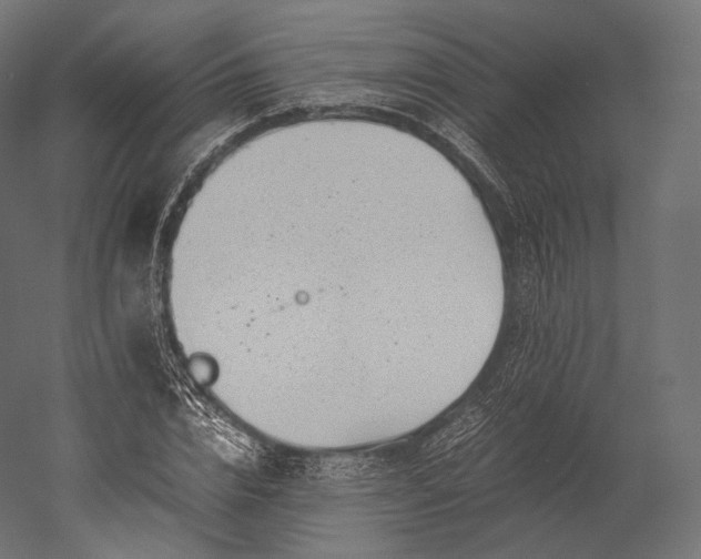 X0000051250832200507011650