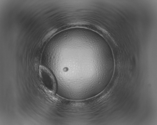 X0000051250833200507011650