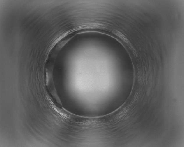 X0000051250834200507011650