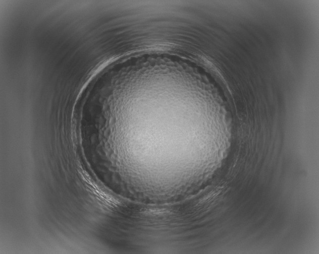 X0000051250835200507011650