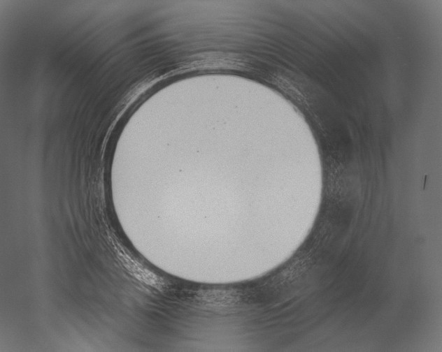 X0000051250836200507011650