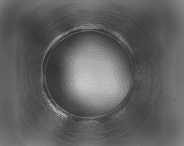 X0000051250837200507011650