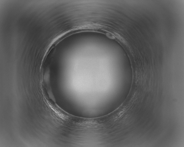 X0000051250838200507011650