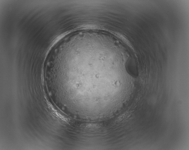 X0000051250839200507011650