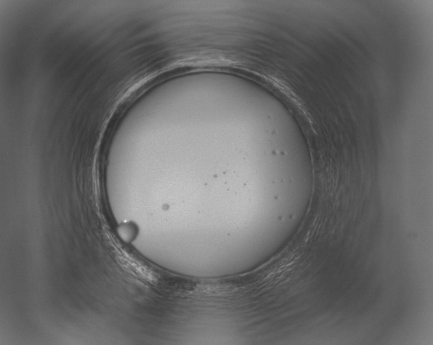 X0000051250840200507011650