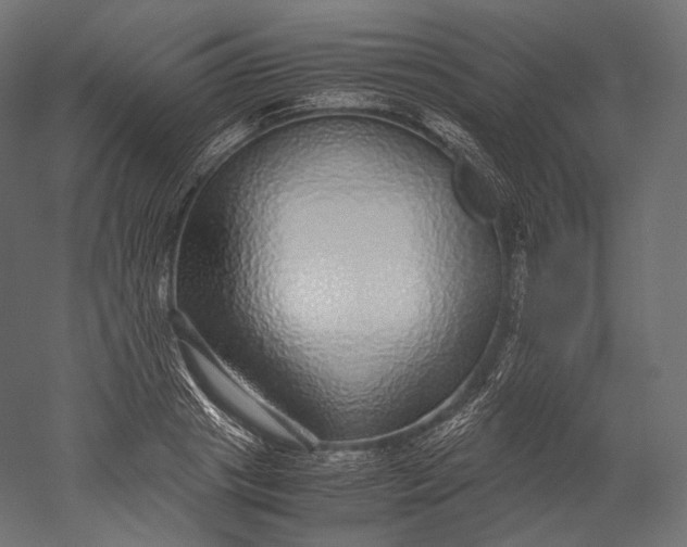 X0000051250841200507011650