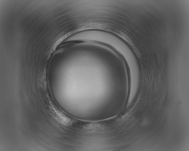 X0000051250842200507011650