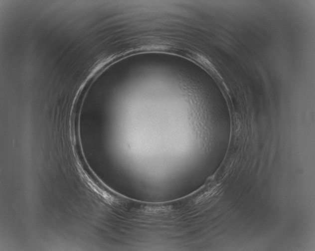 X0000051250843200507011650