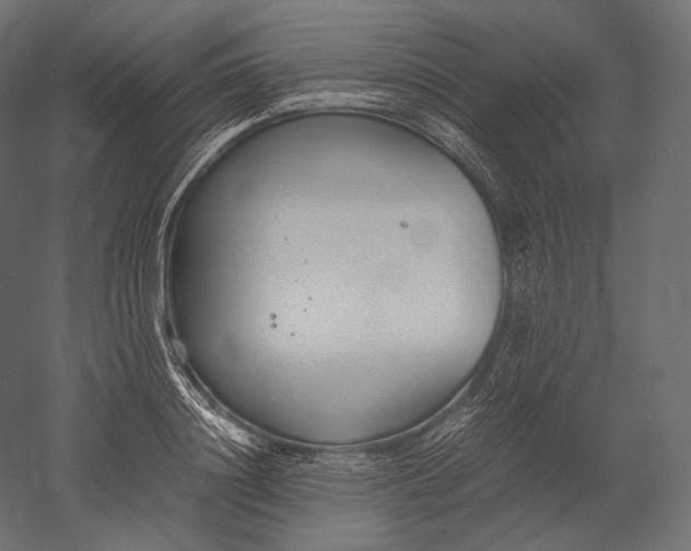 X0000051250844200507011650