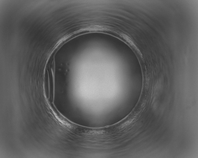 X0000051250845200507011650