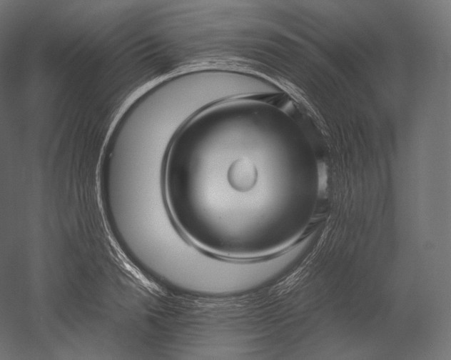 X0000051250846200507011650