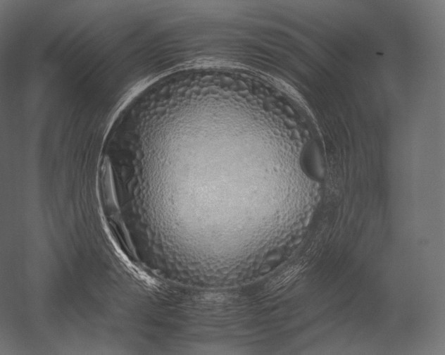 X0000051250847200507011650