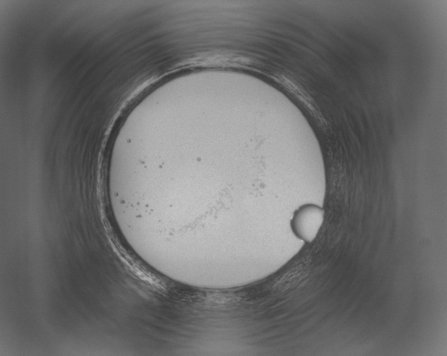 X0000051250848200507011650