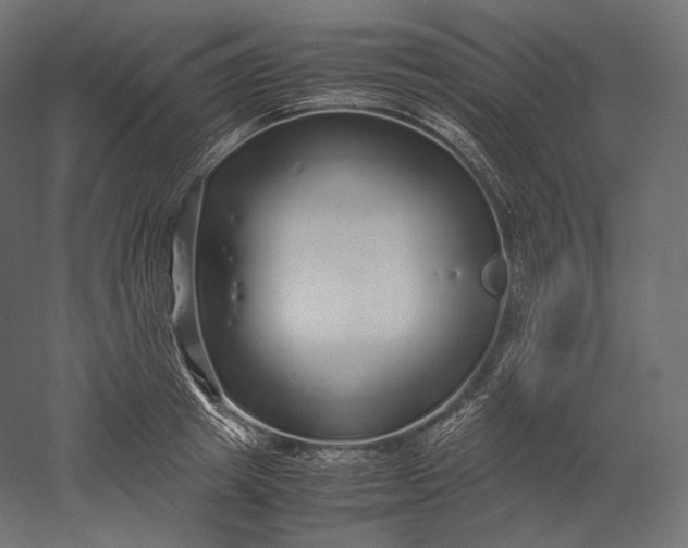 X0000051250849200507011650