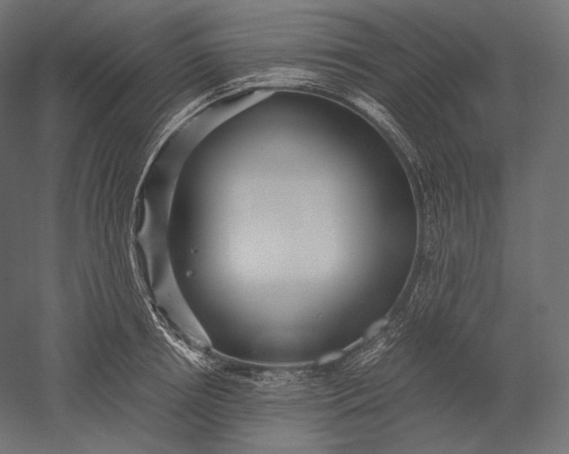 X0000051250850200507011650