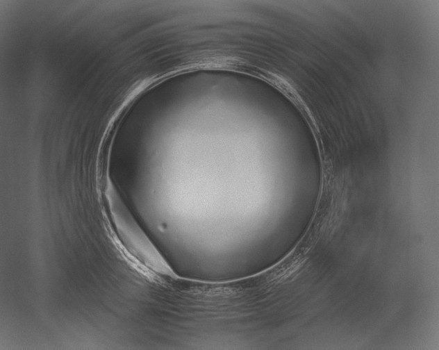 X0000051250851200507011650