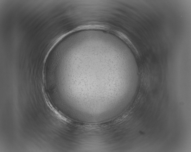 X0000051250852200507011650