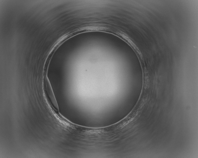 X0000051250853200507011650