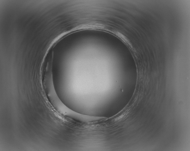 X0000051250854200507011650