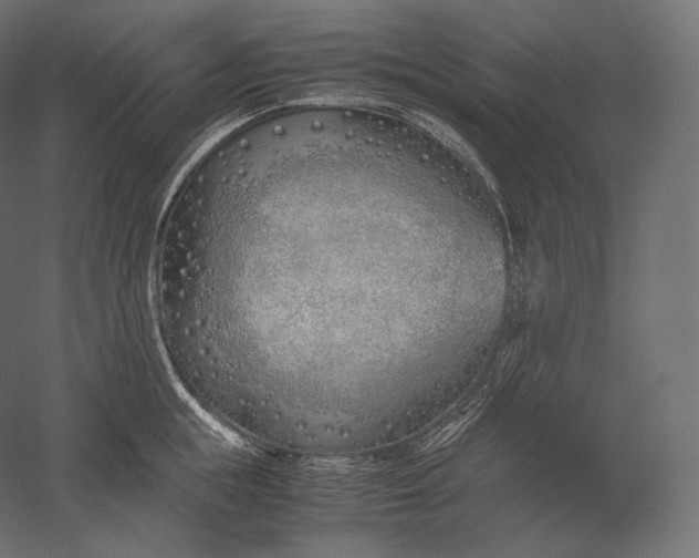 X0000051250855200507011650