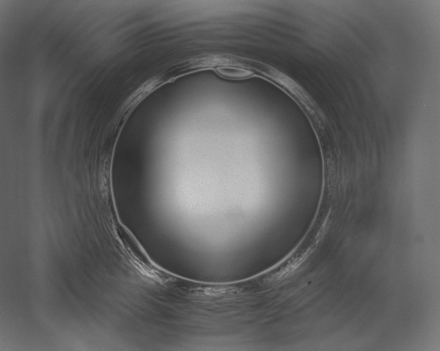 X0000051250857200507011650