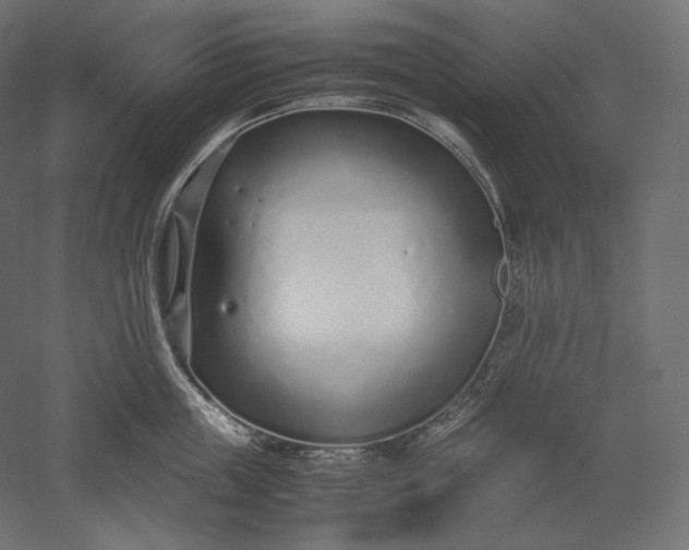 X0000051250859200507011650