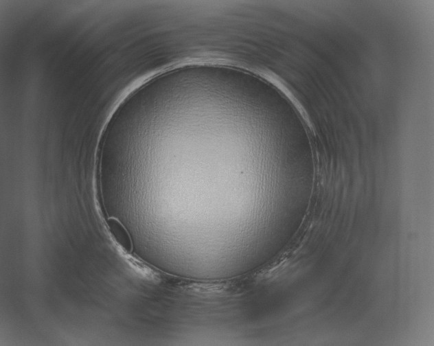 X0000051250861200507011650