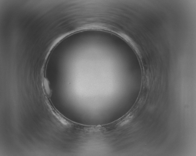 X0000051250862200507011650