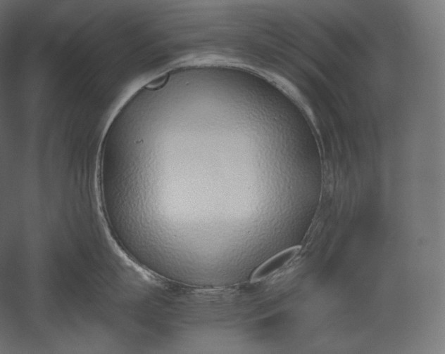 X0000051250863200507011650