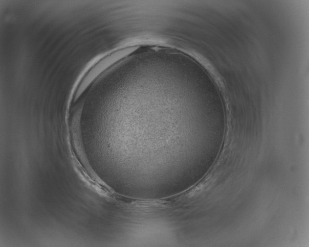 X0000051250864200507011650