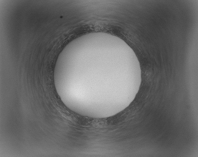 X0000051250865200507011650