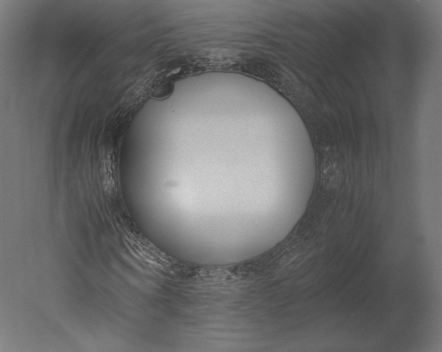 X0000051250866200507011650