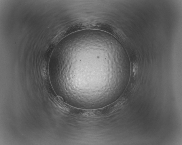 X0000051250867200507011650