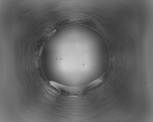 X0000051250868200507011650