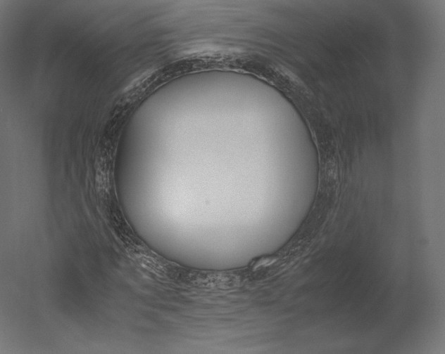 X0000051250869200507011650