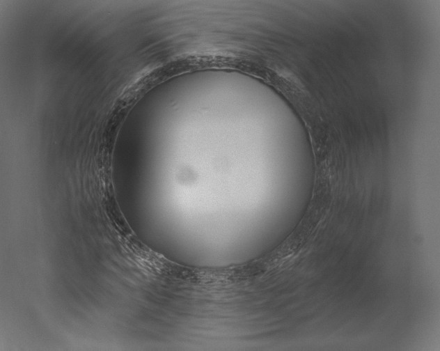 X0000051250870200507011650