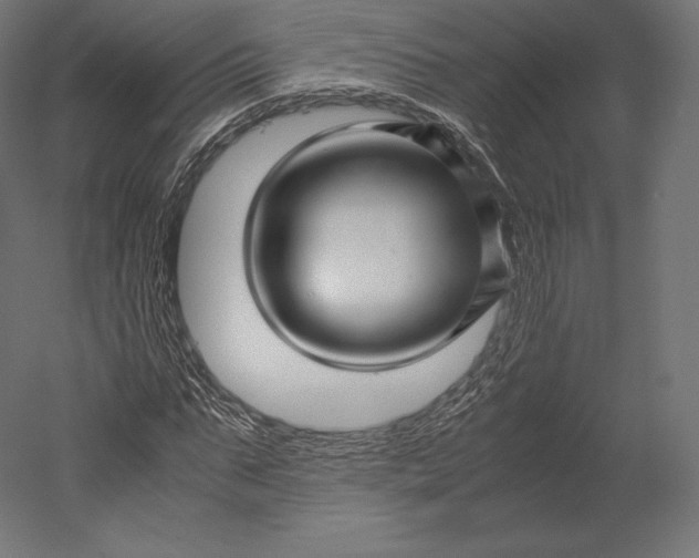 X0000051250871200507011649