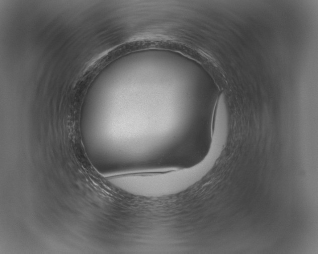 X0000051250872200507011649