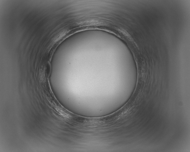 X0000051250873200507011649