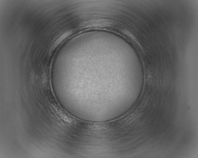 X0000051250874200507011649