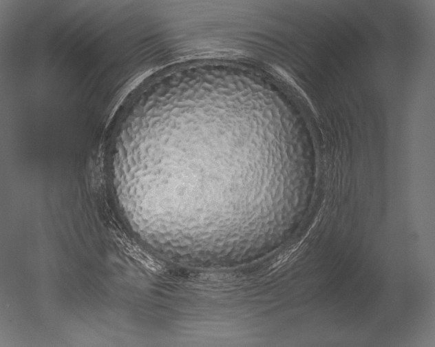 X0000051250875200507011649