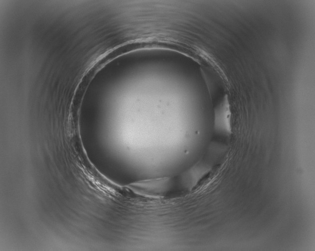 X0000051250876200507011649