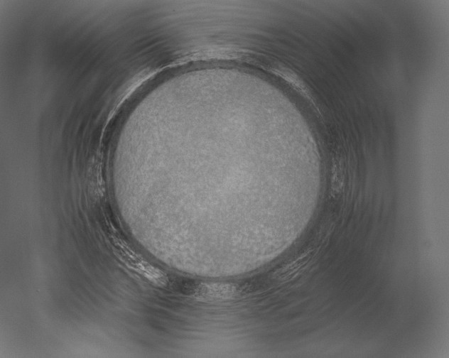 X0000051250878200507011649